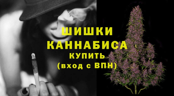 дживик Бугульма