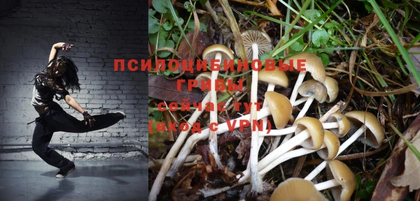 дживик Бугульма
