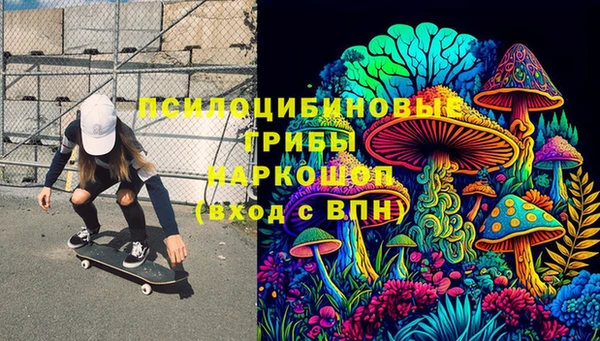 ГАЛЛЮЦИНОГЕННЫЕ ГРИБЫ Бронницы