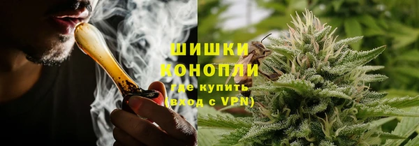 ГАЛЛЮЦИНОГЕННЫЕ ГРИБЫ Бронницы
