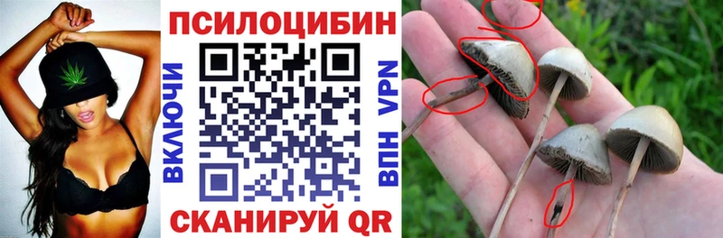 Псилоцибиновые грибы прущие грибы  Пересвет 